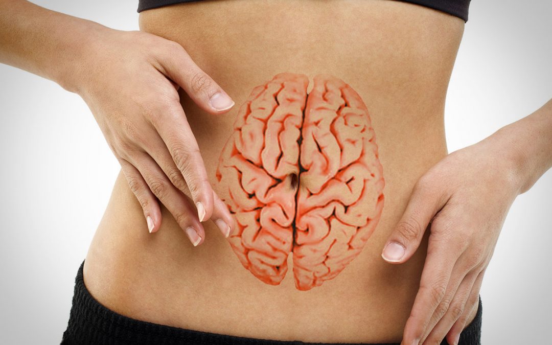 Equilibrio intestinal y su conexión con el cerebro. Curso en ISMET. Julio 2017